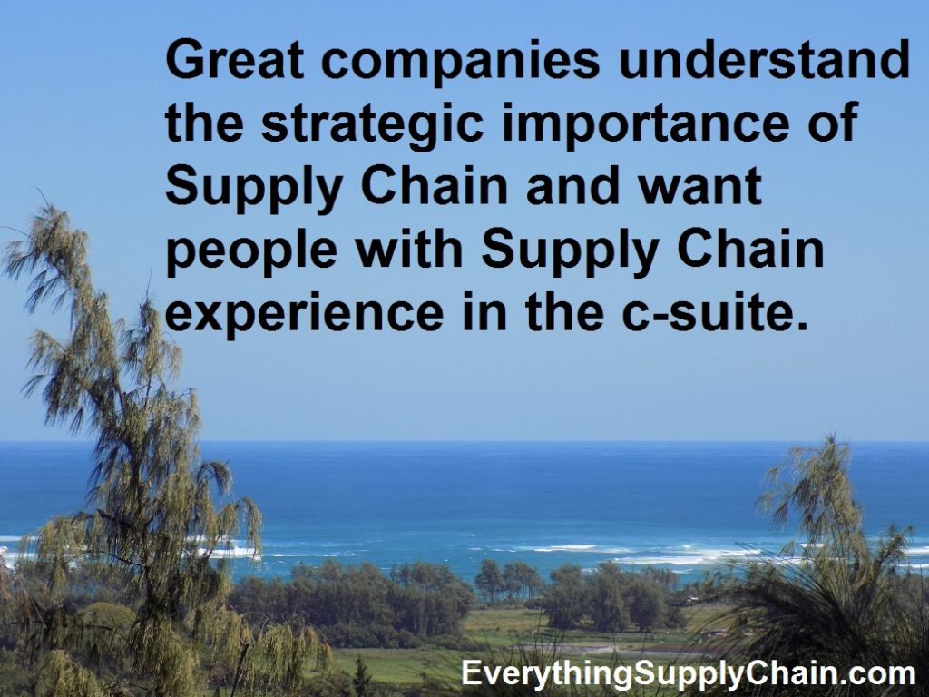 Supply Chain Strategy