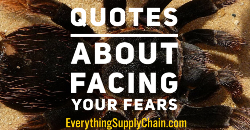 Fear quotes